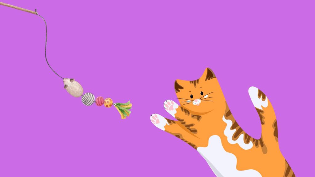 19 Purr-fect Gifts for Cat Lovers